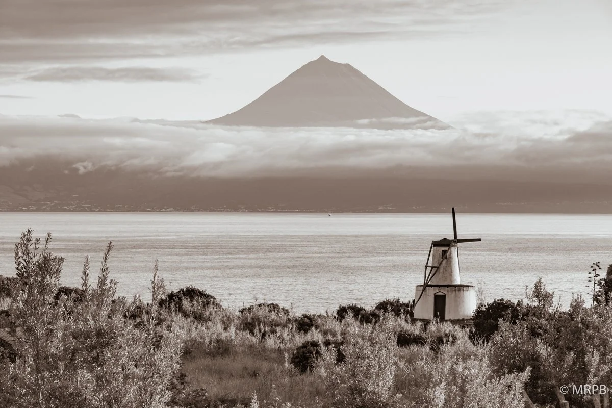 Faial_Portugal_O0A0076