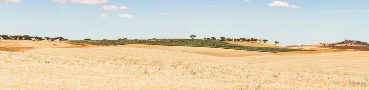 Alentejo_Portugal_O0A1827