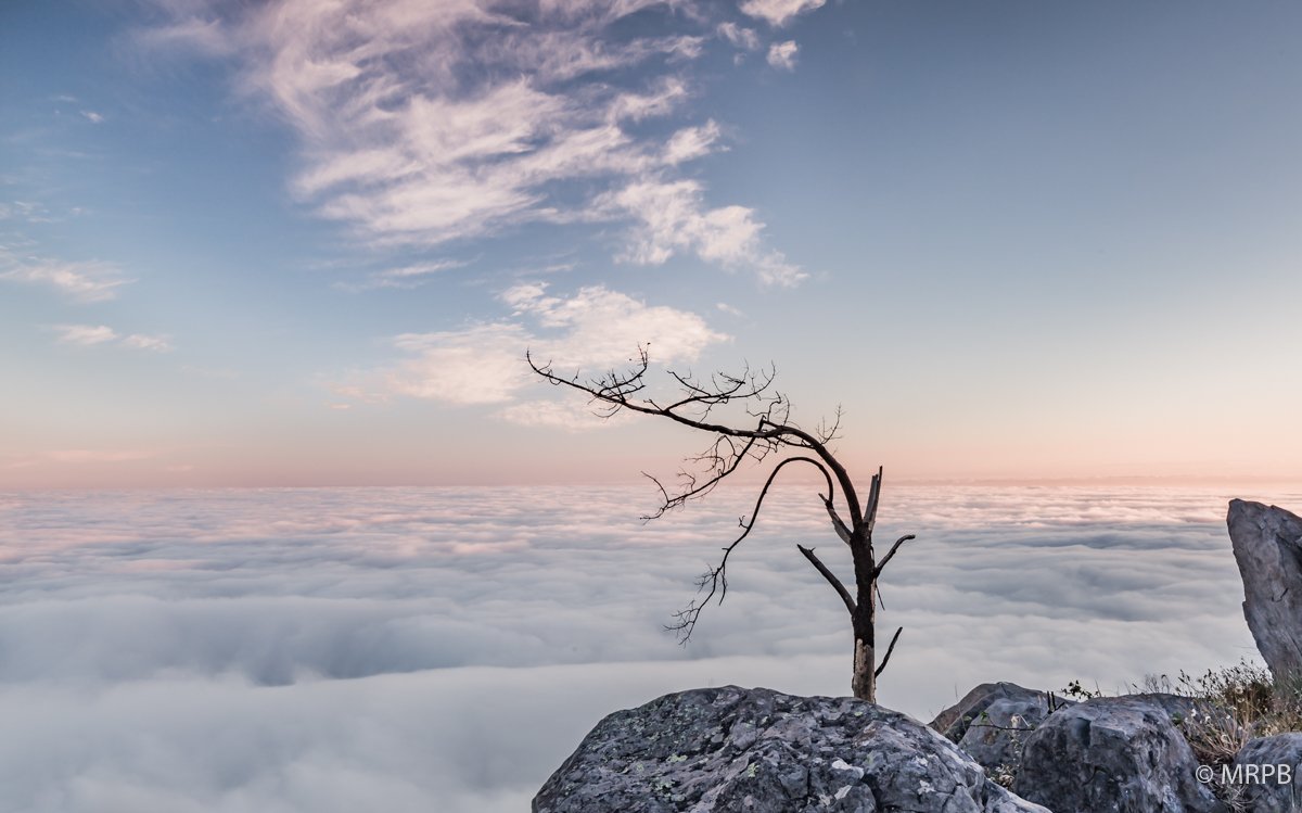 Madeira_Portugal_O0A9705