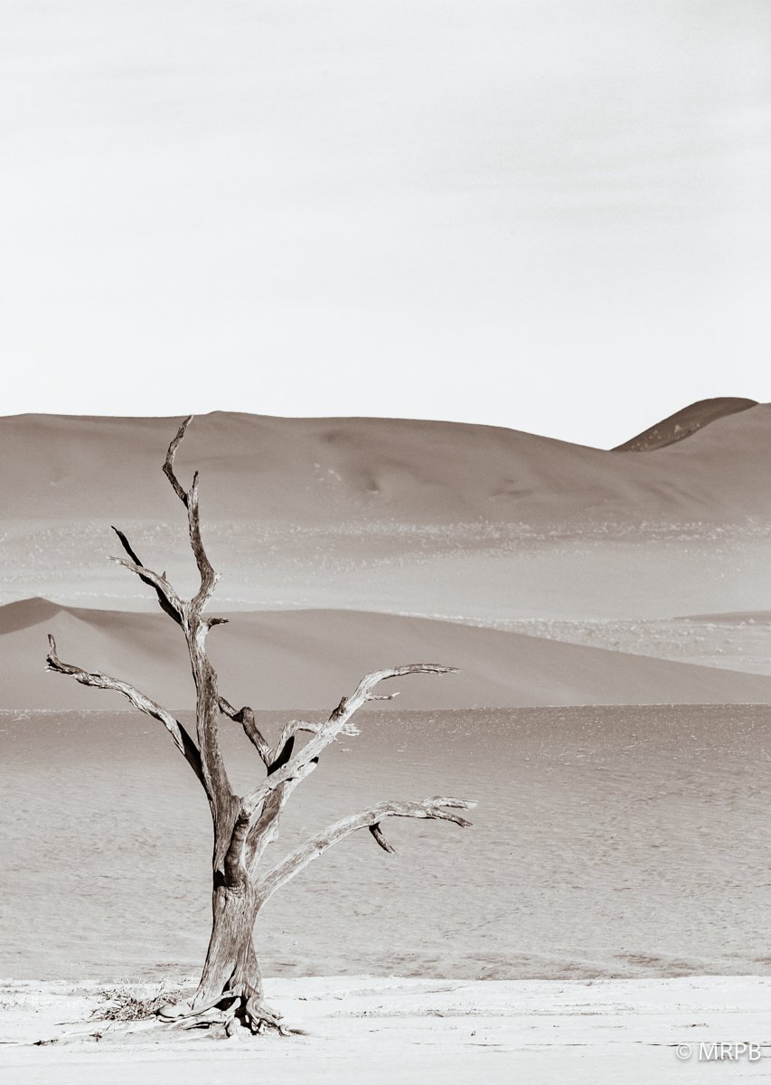 Sossusvlei_Namibia_O0A2436