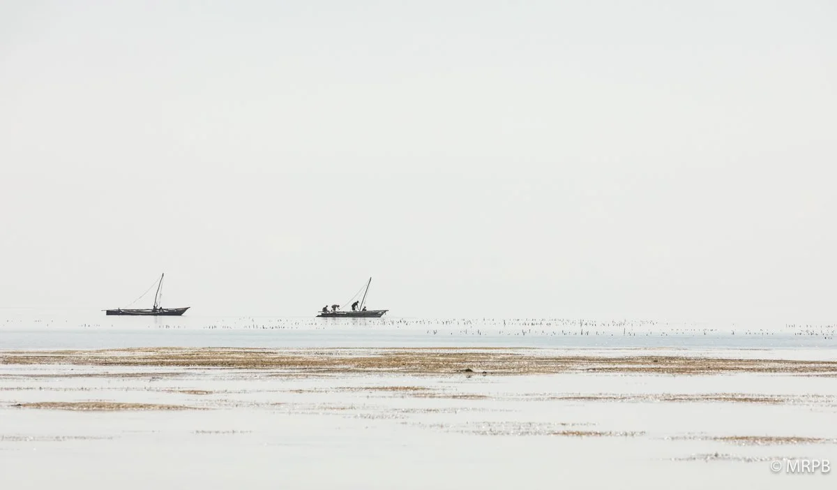 Zamzibar_Tanzânia_I8A1664