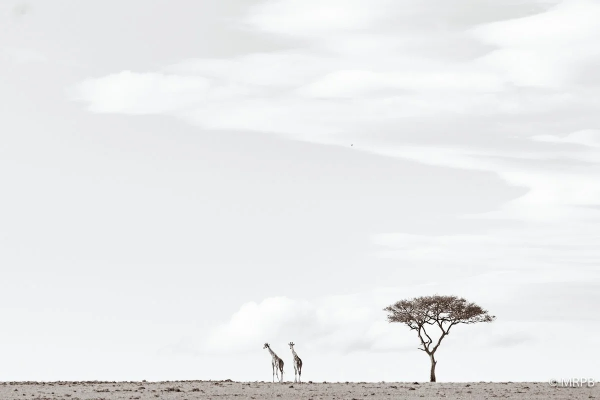 Kenia_224A3226
