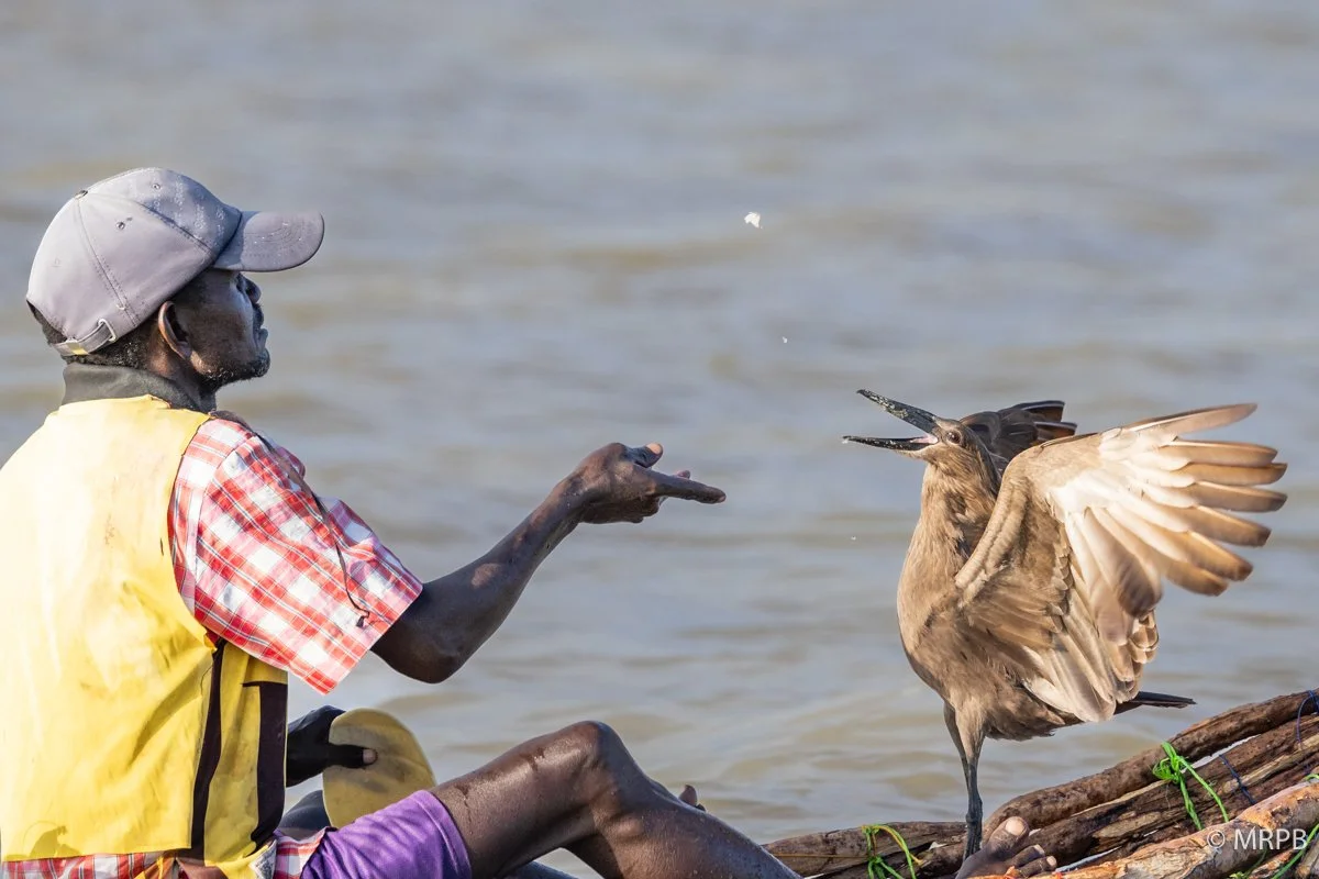 Lago Baringo_Kenia224A7029
