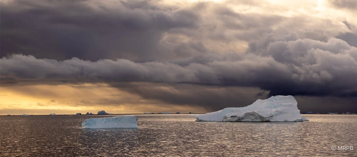 Antártida_224A1526-Pano