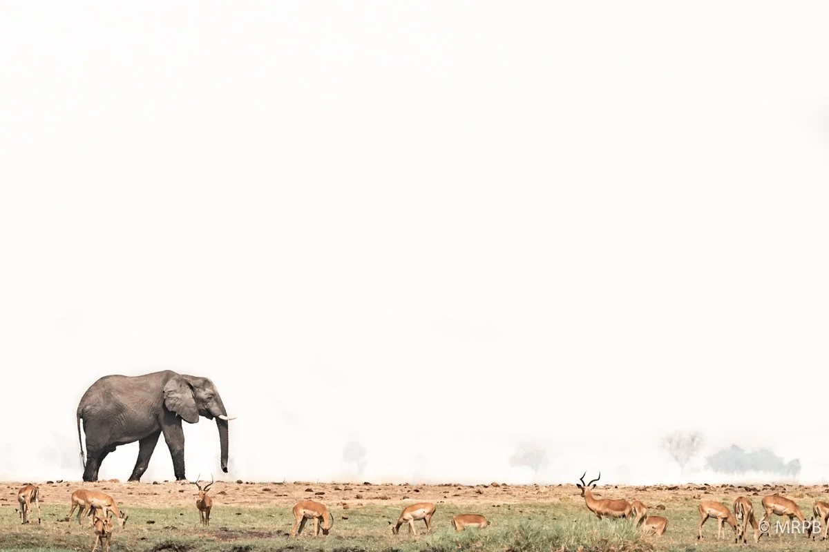 Botswana__I8A0888