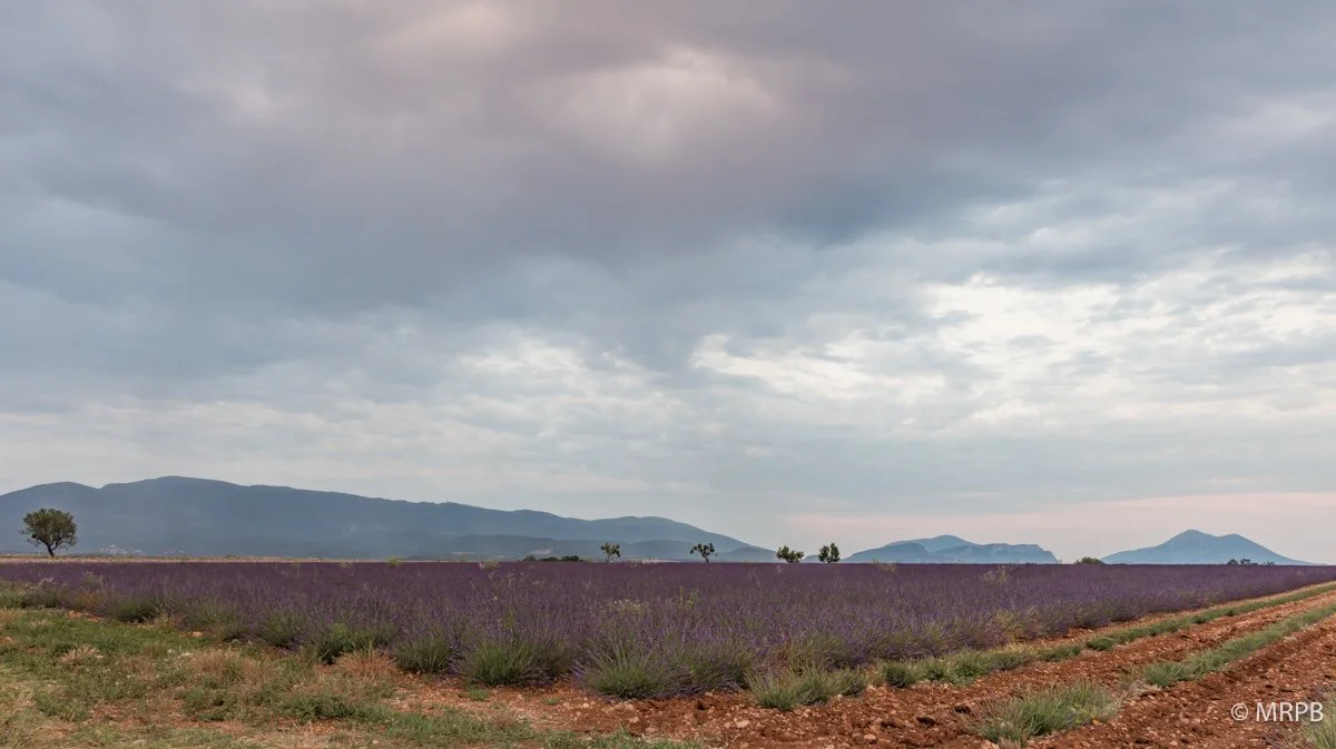 Provençe_França_I7A0516
