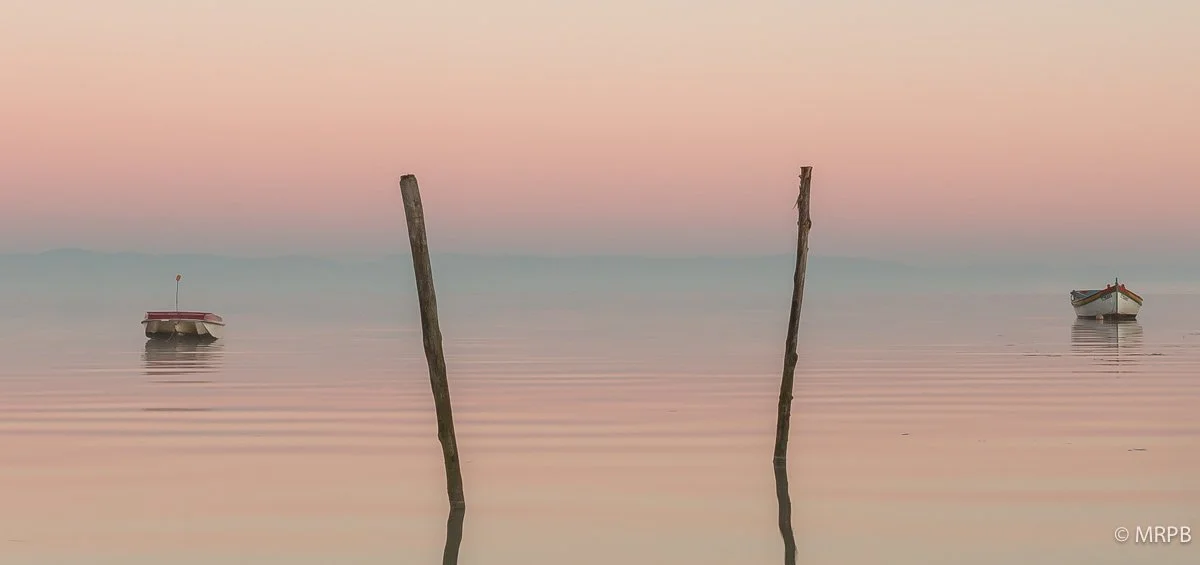 Alcochete_Portugal_O0A3811