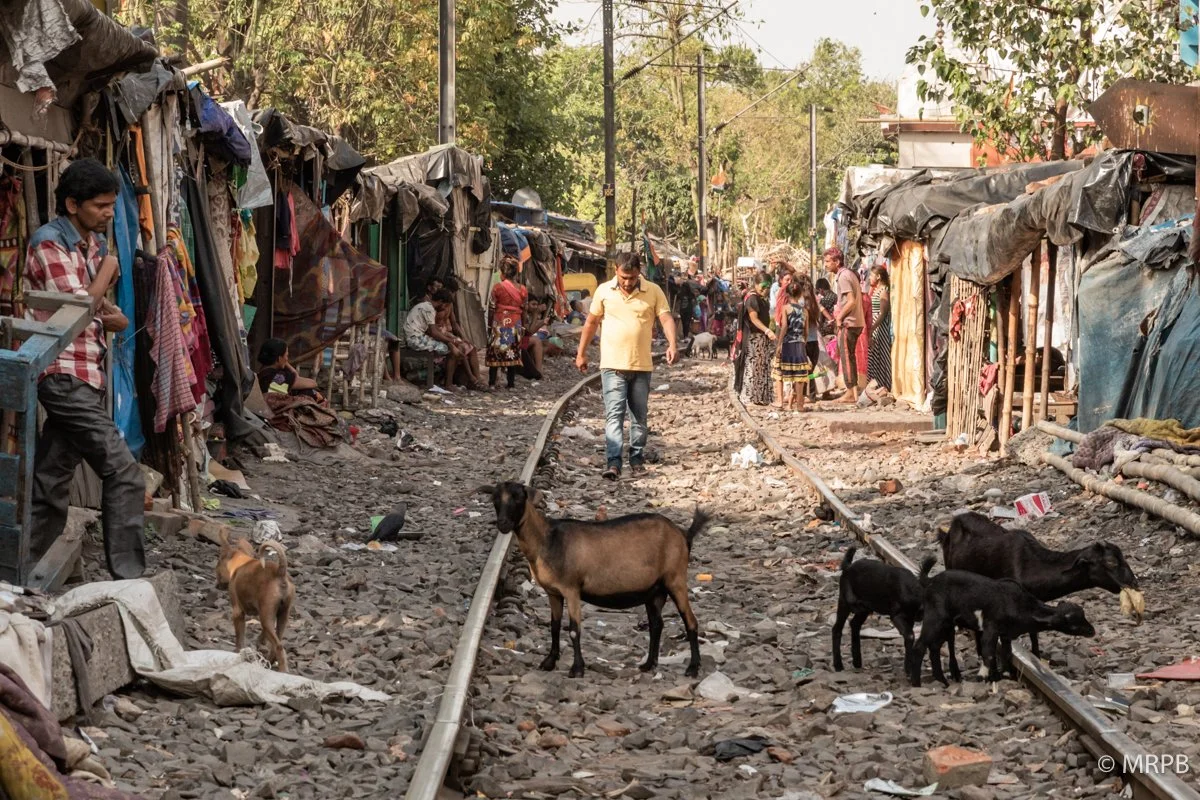 Calcutá_India_I8A3927