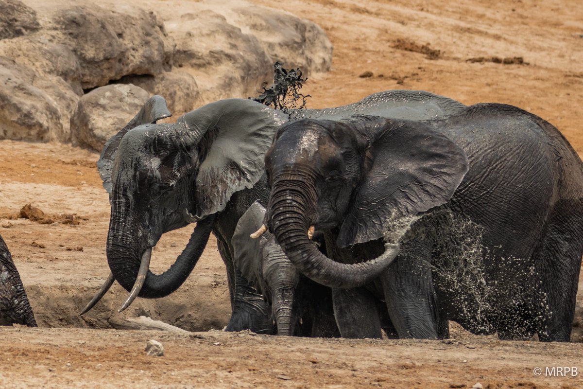 Botswana