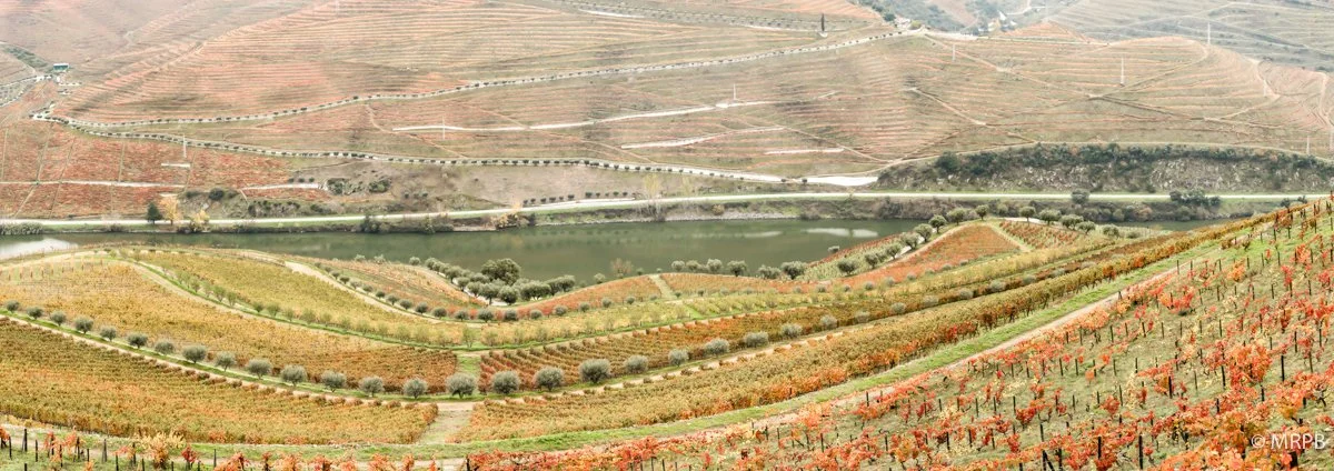 Douro_Portugal_7I8A7016