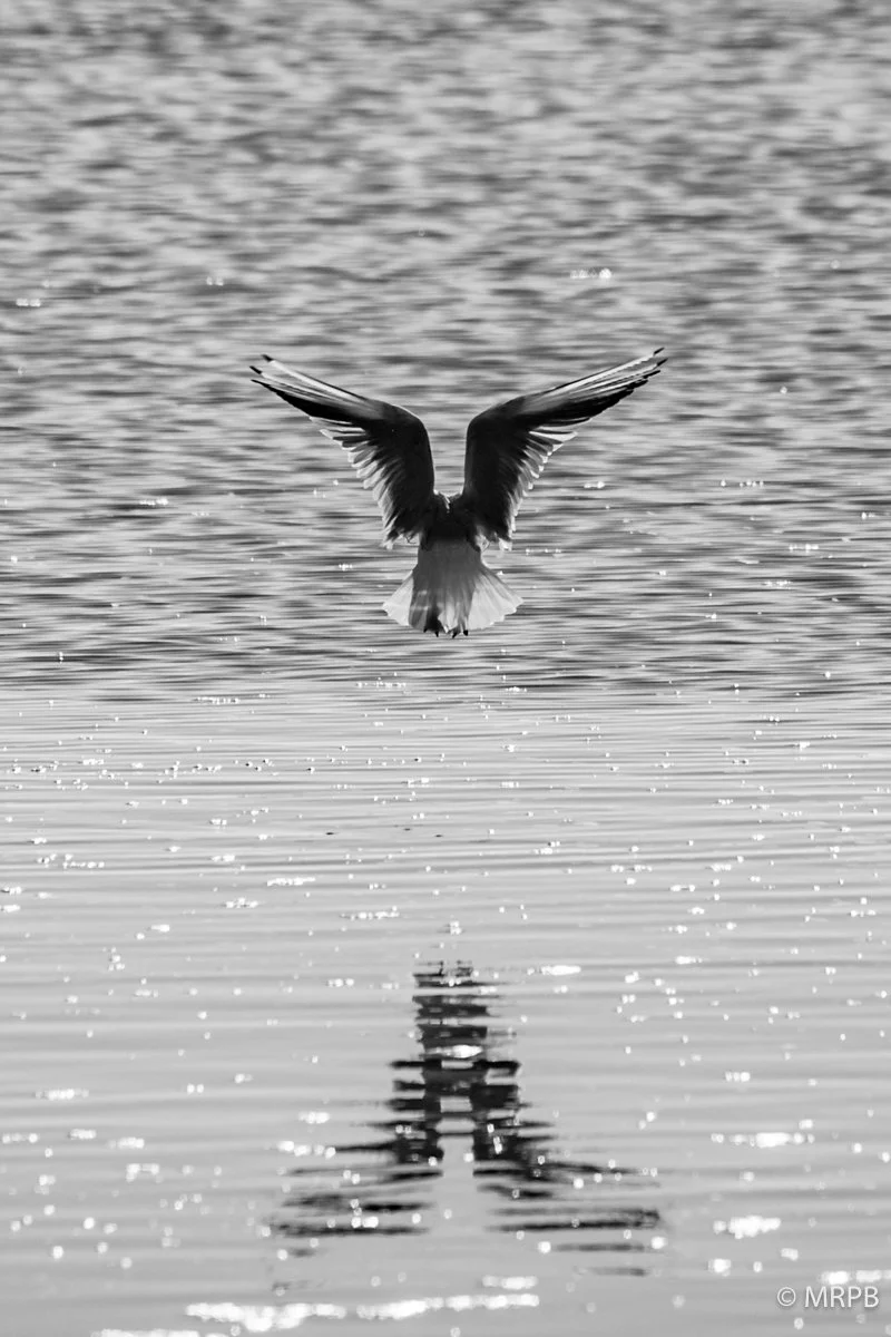 Alvor_Portugal_O0A0831