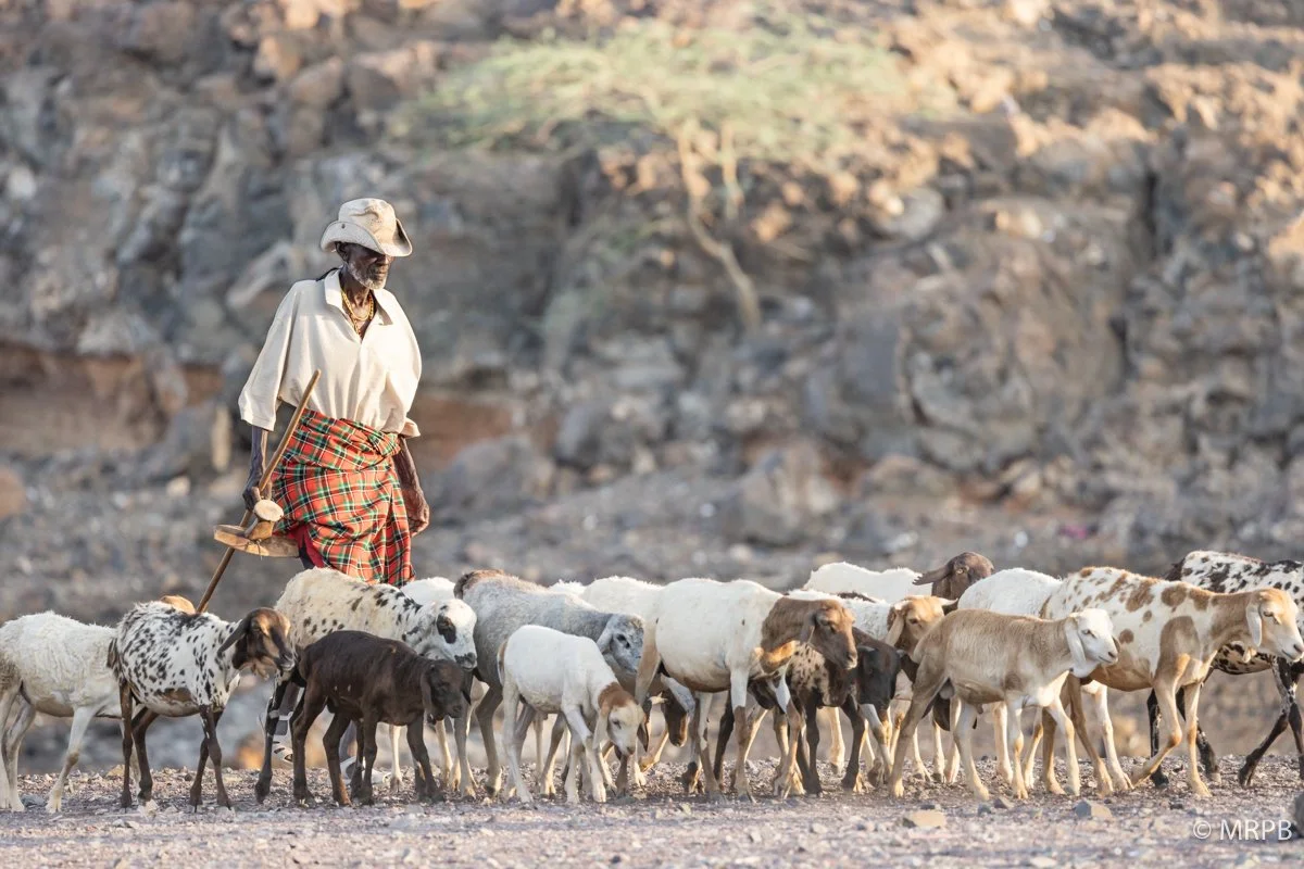 Lago Turkana_Kenia_224A4332-2