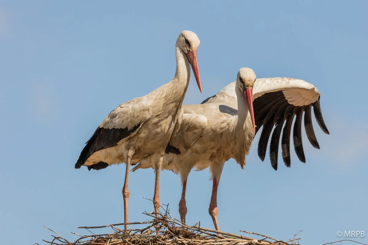 Figueira da Foz_Portugal_I7A8778