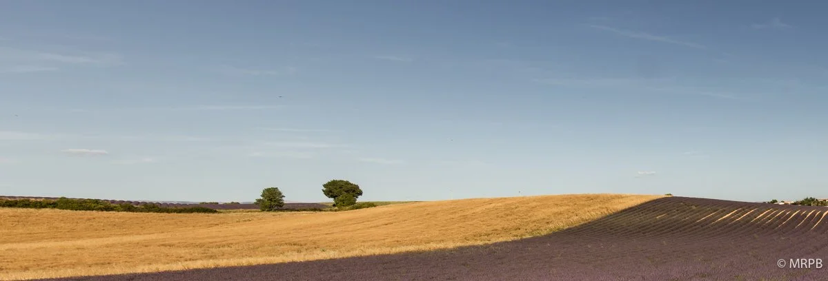 Alentejo_Portugal_I7A9944