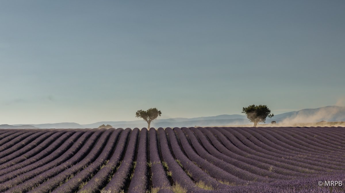 Provençe_França_I7A0162