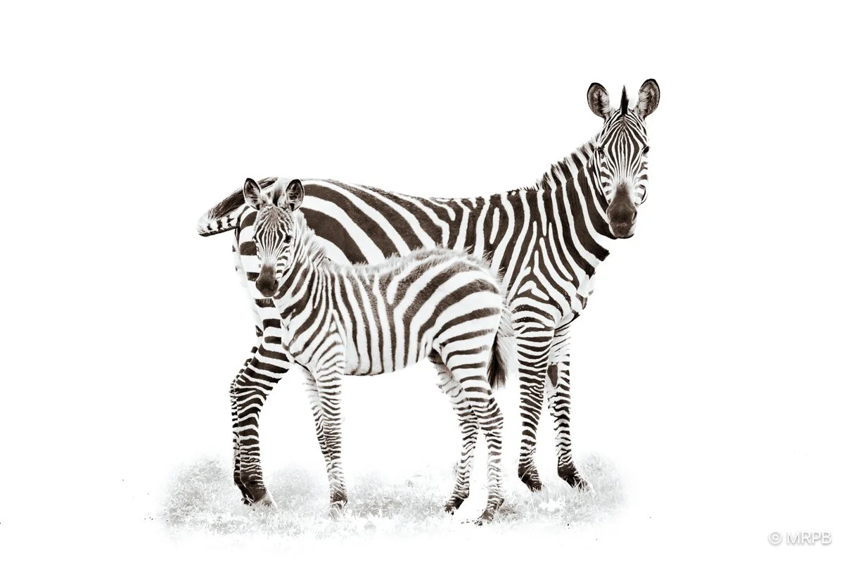 Kenia_224A0693