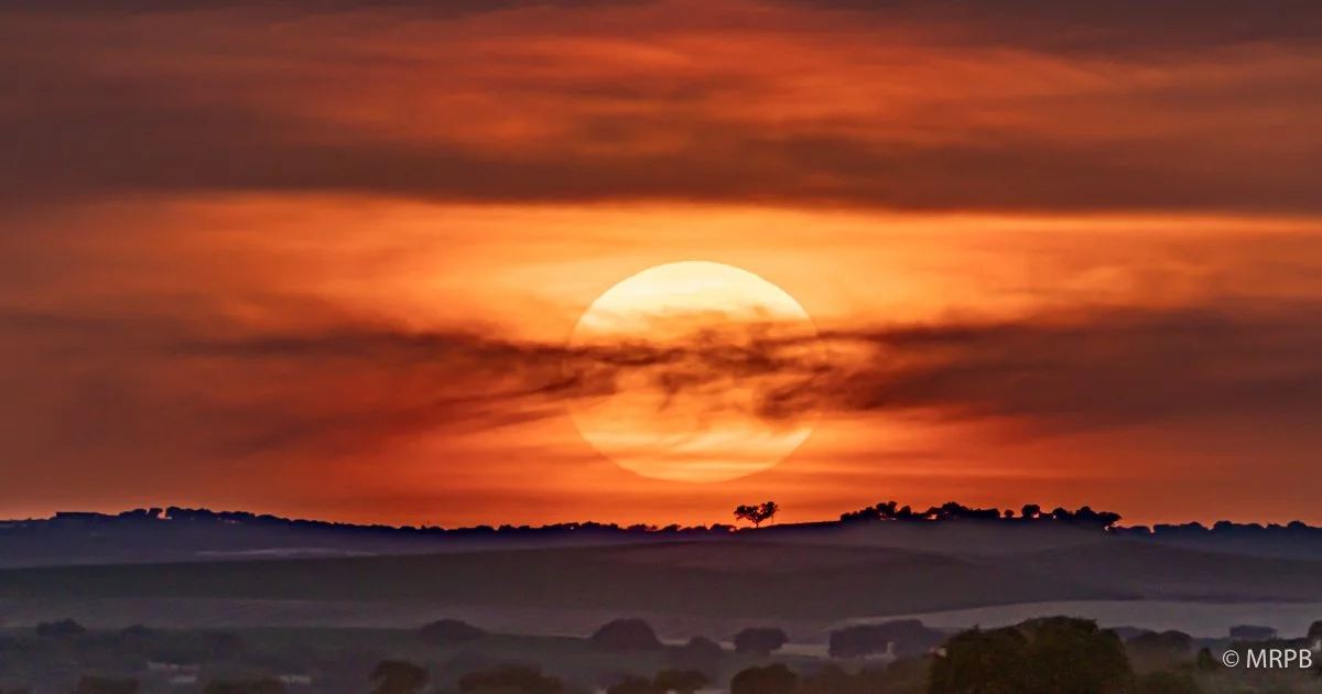 Reguengos_Portugal_224A8776