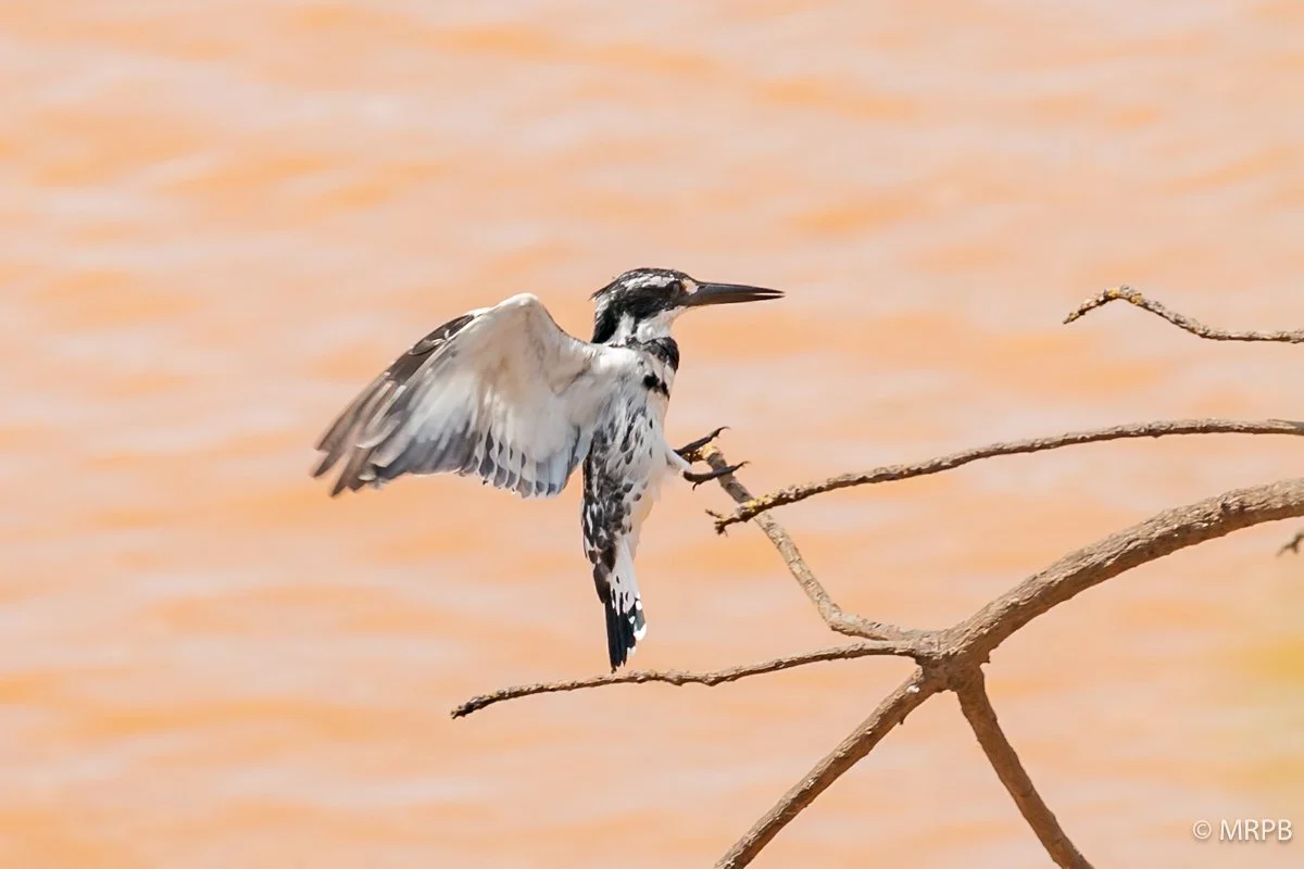 Jinka_Etiopia_I8A3669