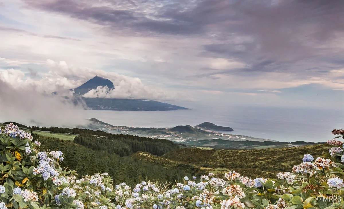 Faial_Portugal_O0A0800