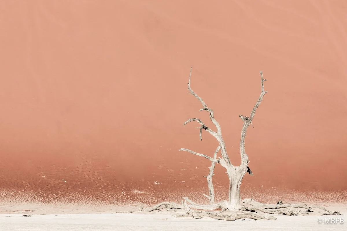 Sossusvlei_Namibia_O0A2218