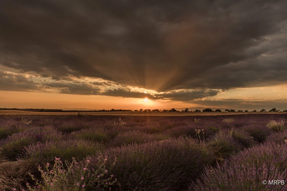 Provençe_França_I7A0498