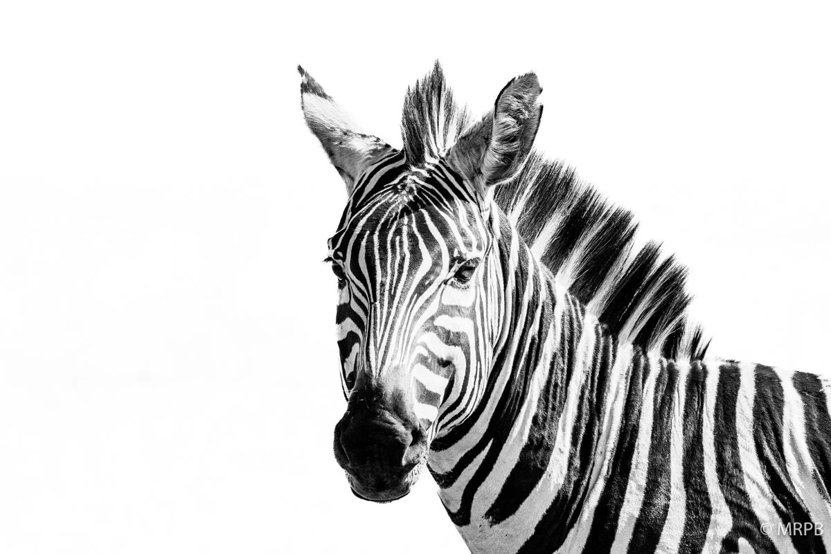 Kenia_224A2503