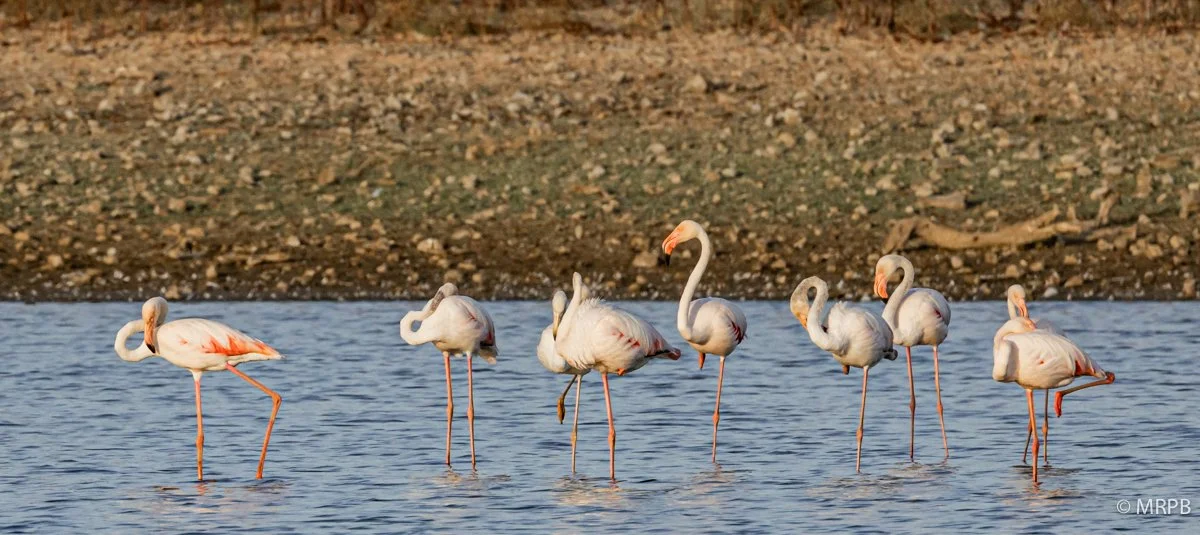 Esporão_Portugal_224A8566