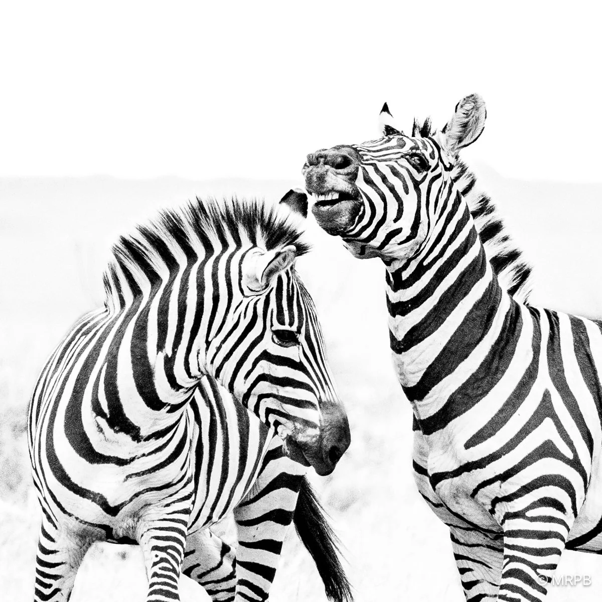 Kenia_224A1673