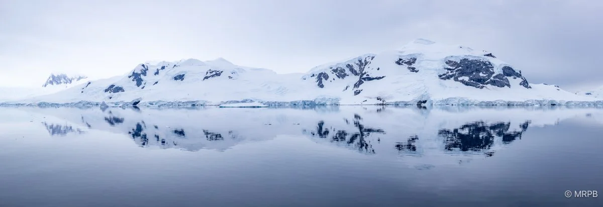 Antártida_224A3932-2-Pano