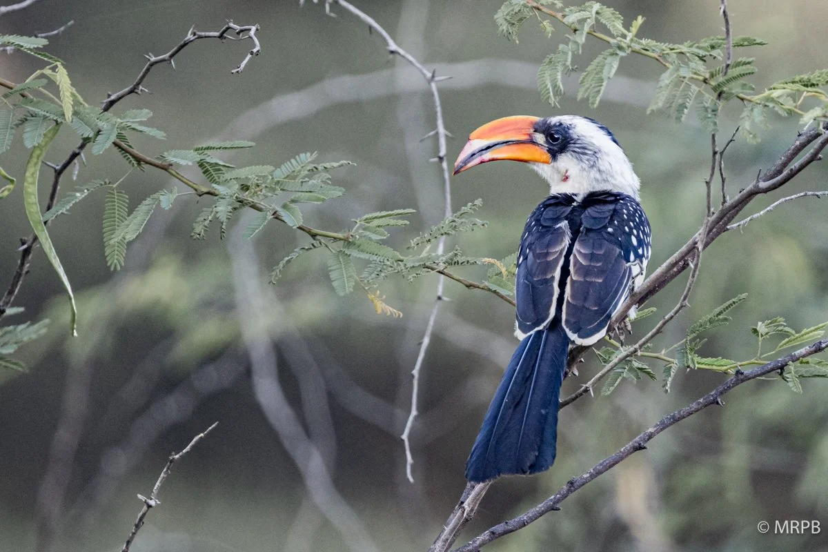 Tanzania_224A6007