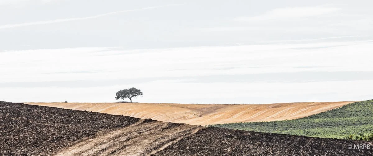 Alentejo_Portugal_O0A1920