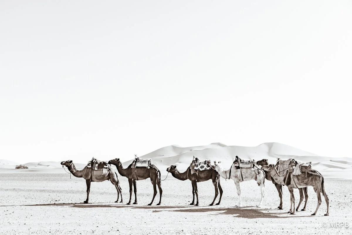 Marrocos_224A5493