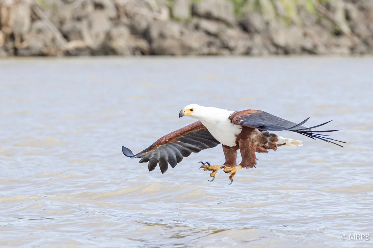 Lago Baringo_Kenia_224A7350