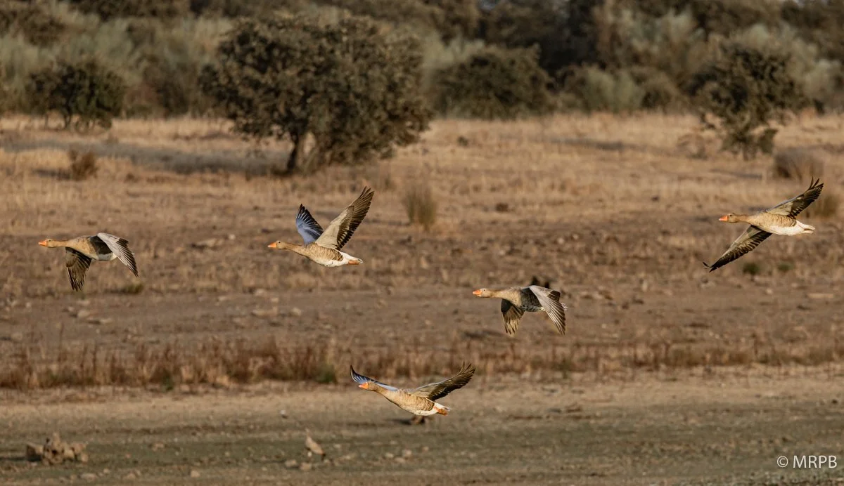 Esporão_Portugal_224A8482