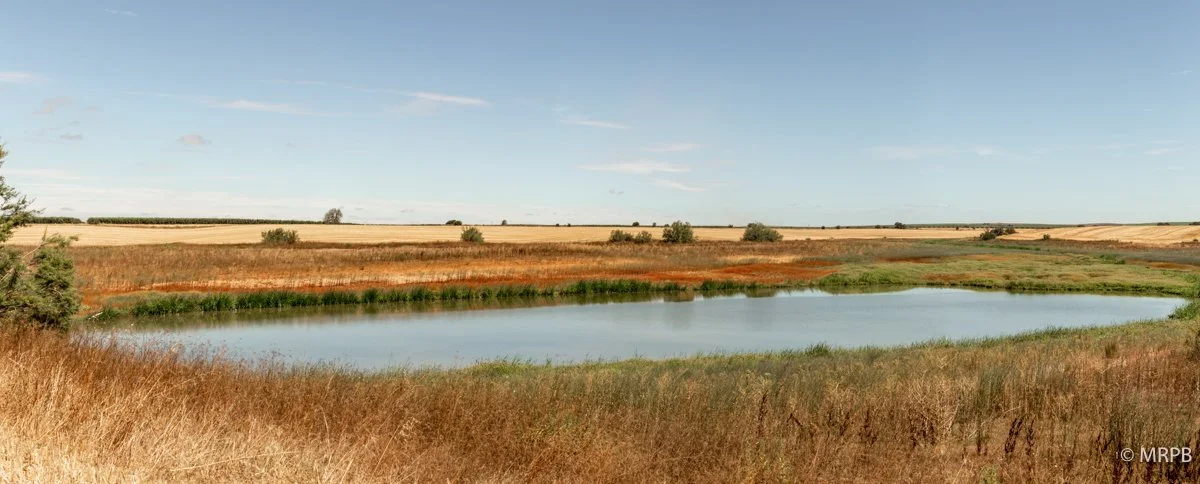 Alentejo_Portugal_O0A1787