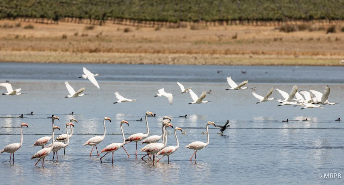 Esporão_Portugal_224A8328
