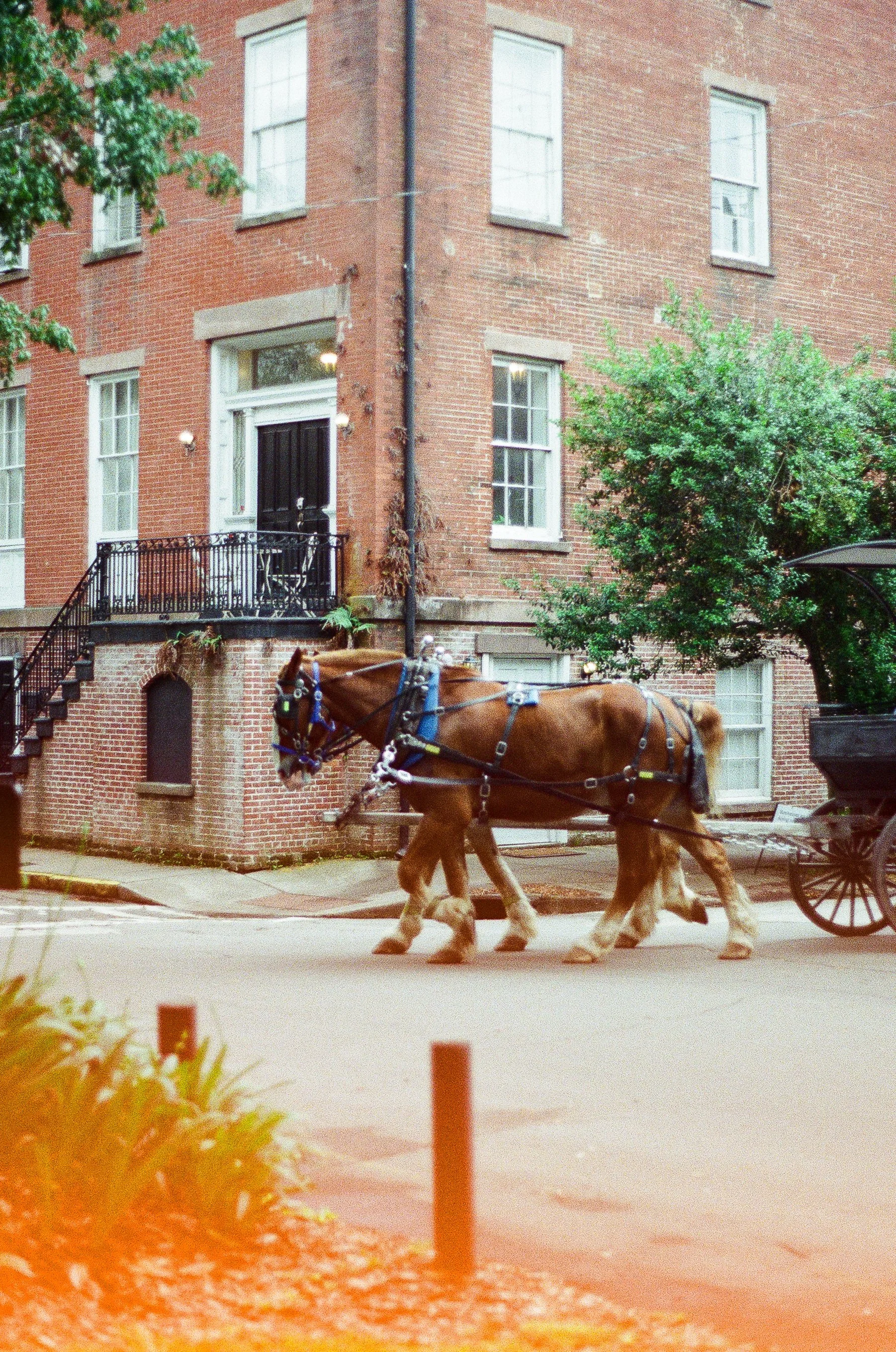 ecrley-000067410018.jpg