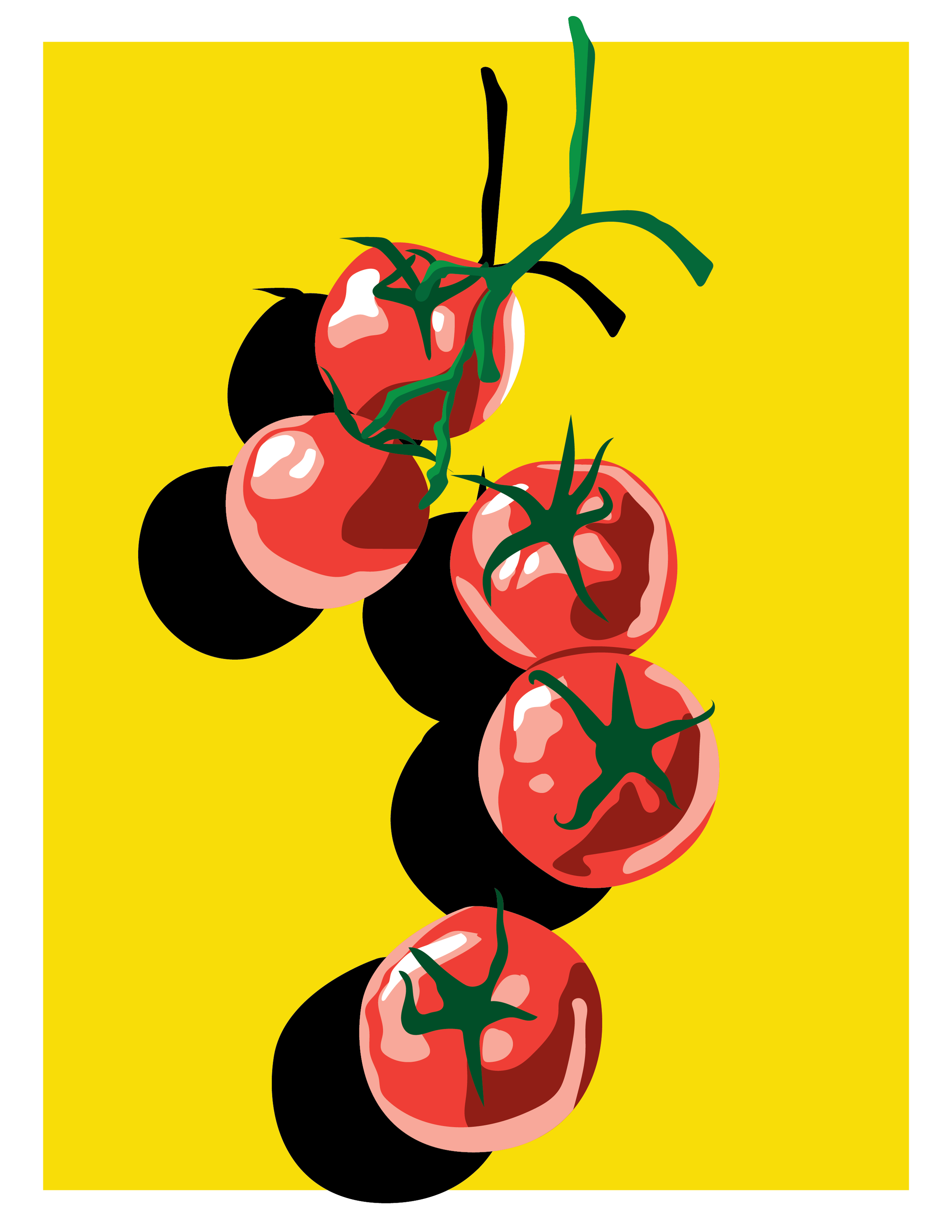 Tomatoes