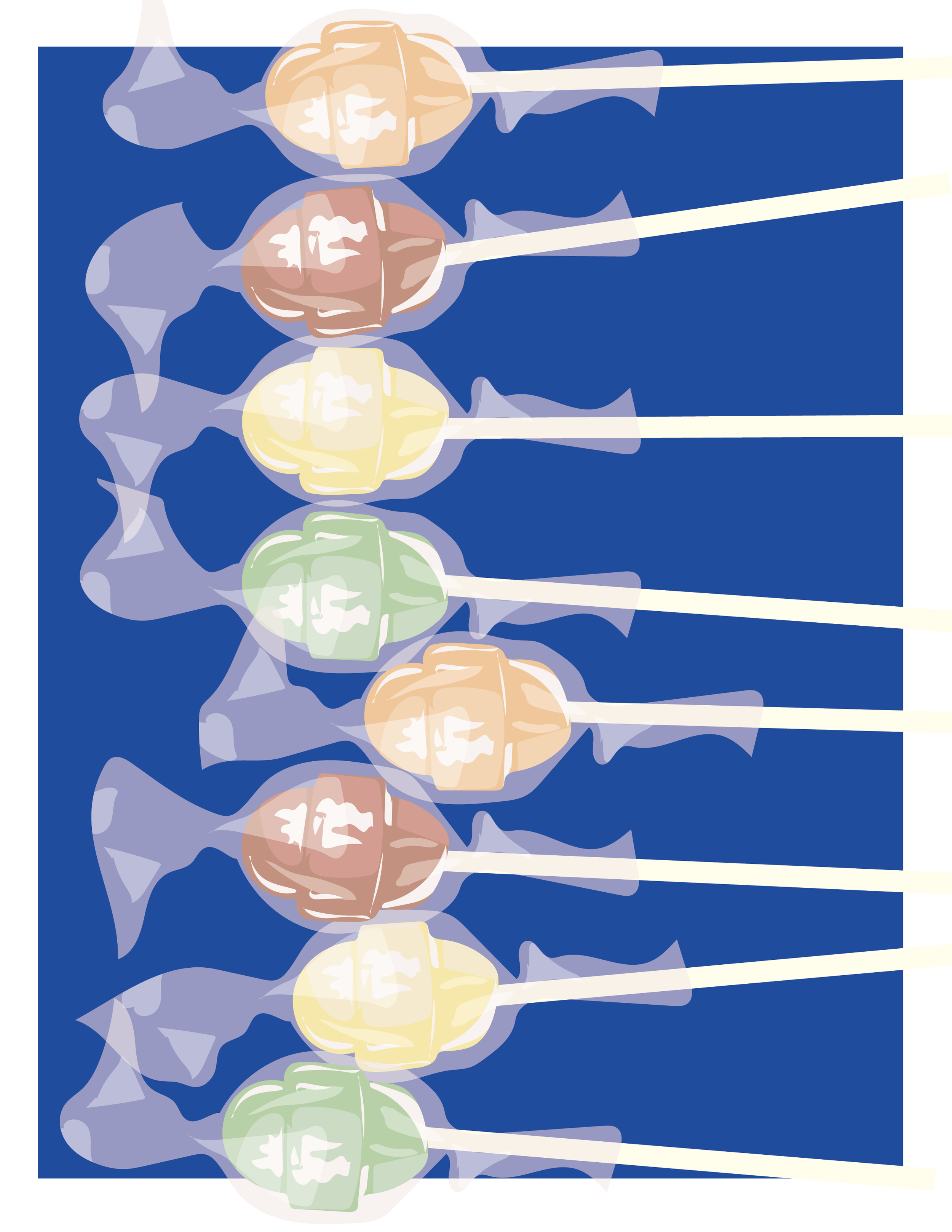 lolli.png