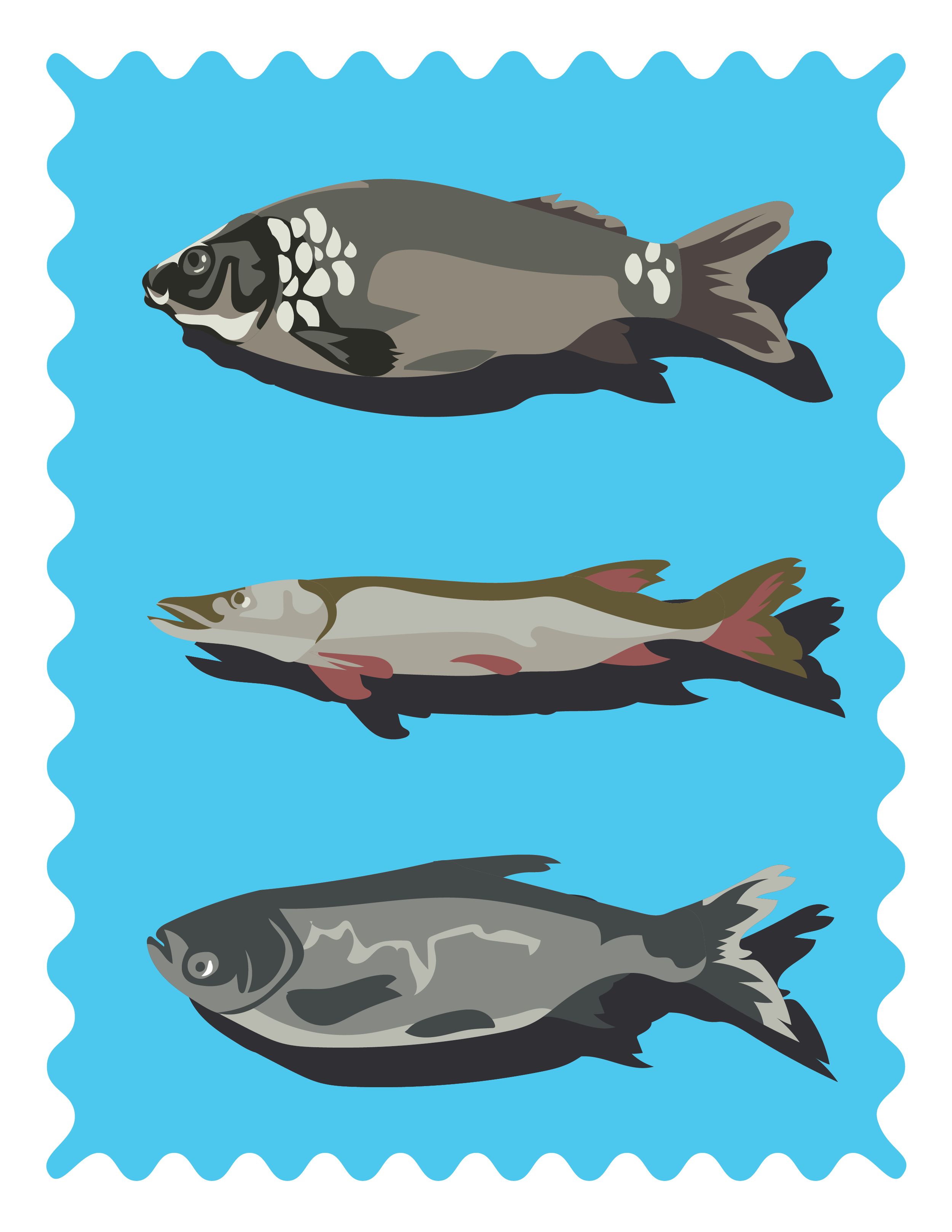 fish.png