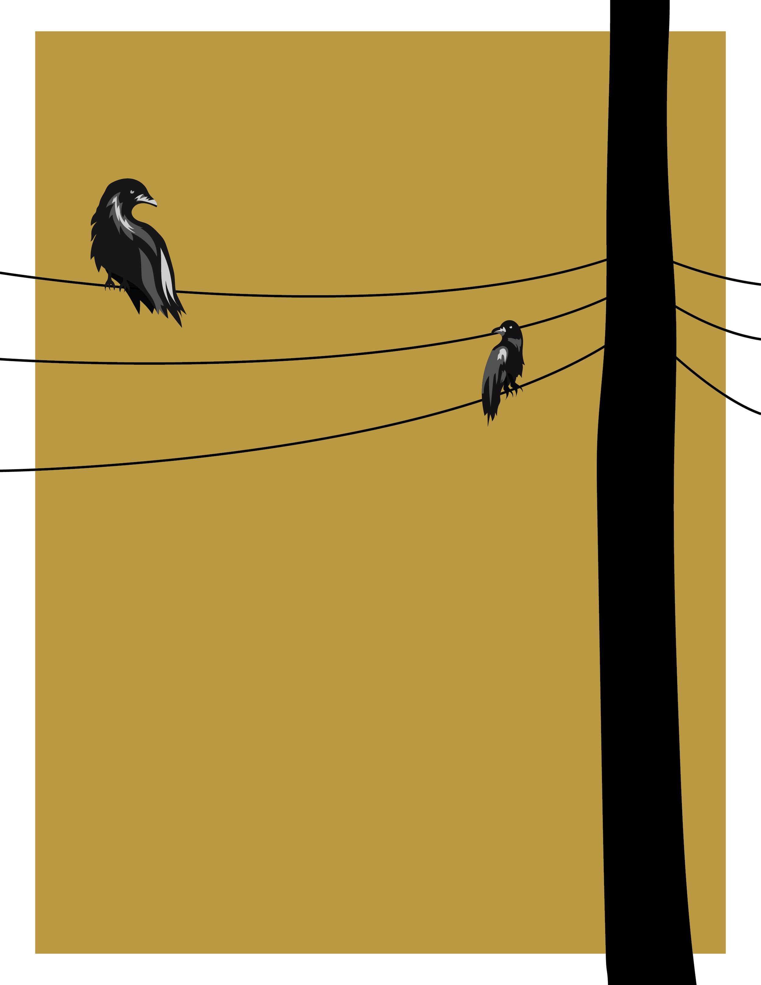 Crows
