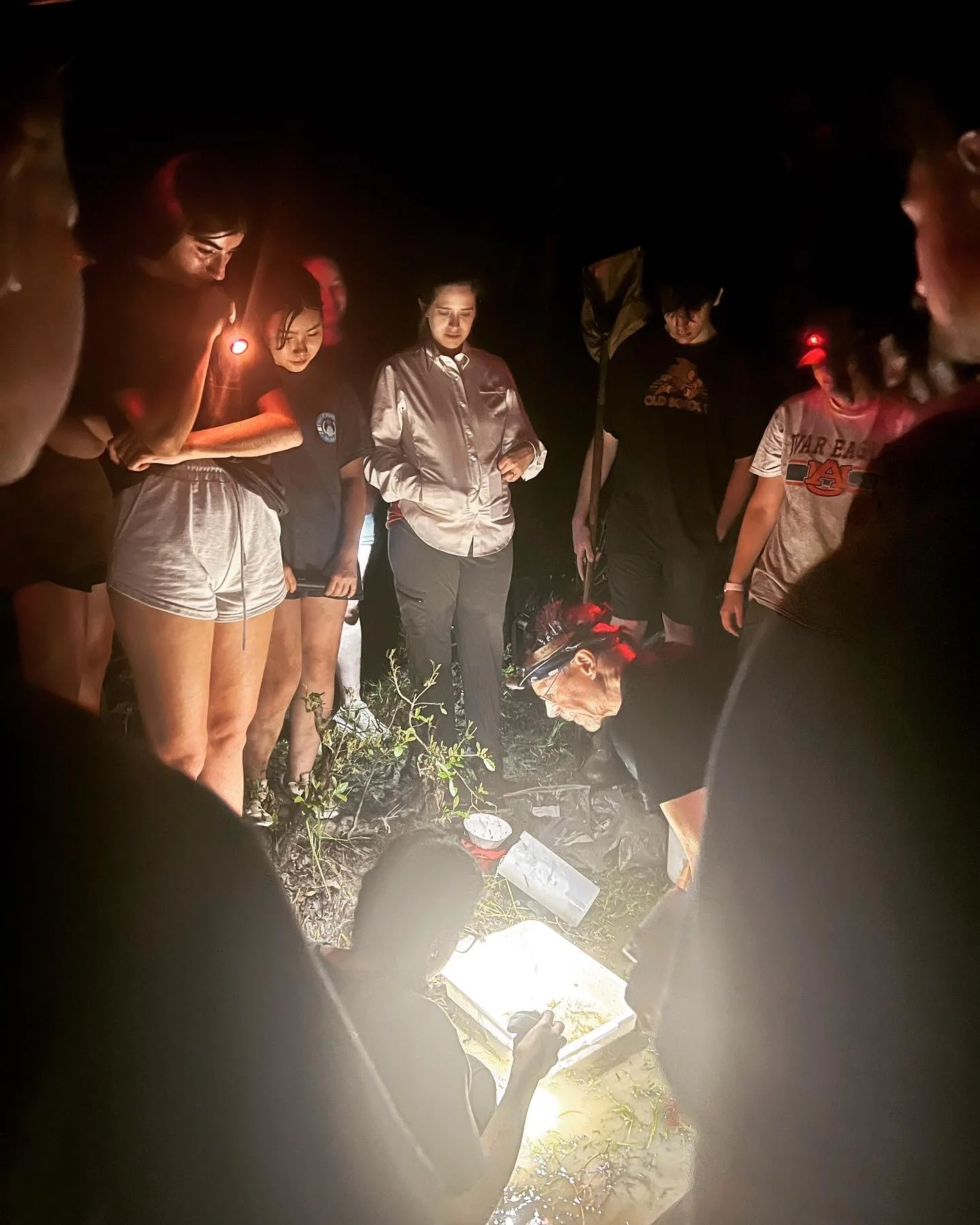 3C198C68-EAB9-43A9-8140-4585134DB17D 2.JPG