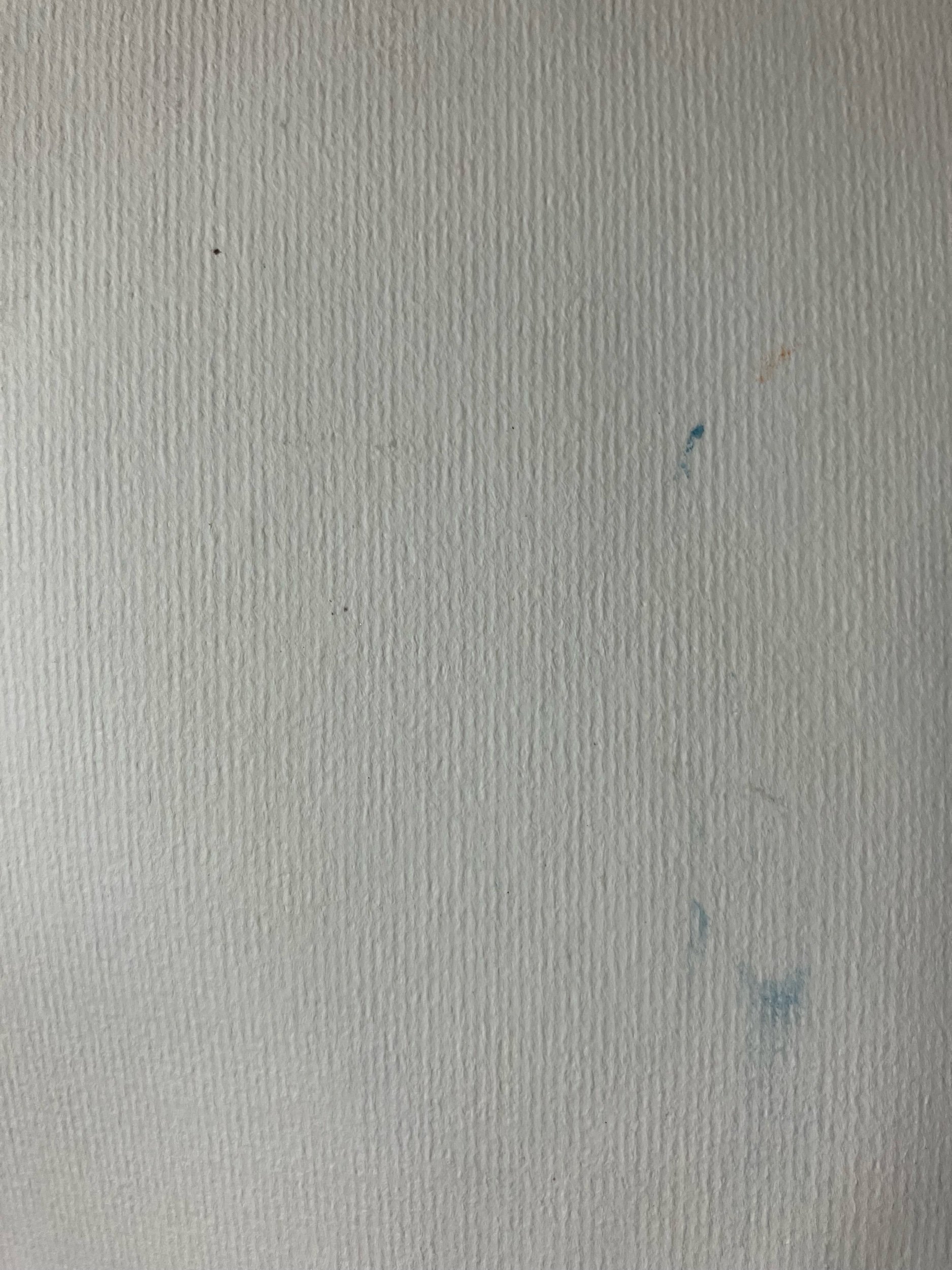 510B09F4-1071-4713-B3C4-5D4644241B08.jpeg