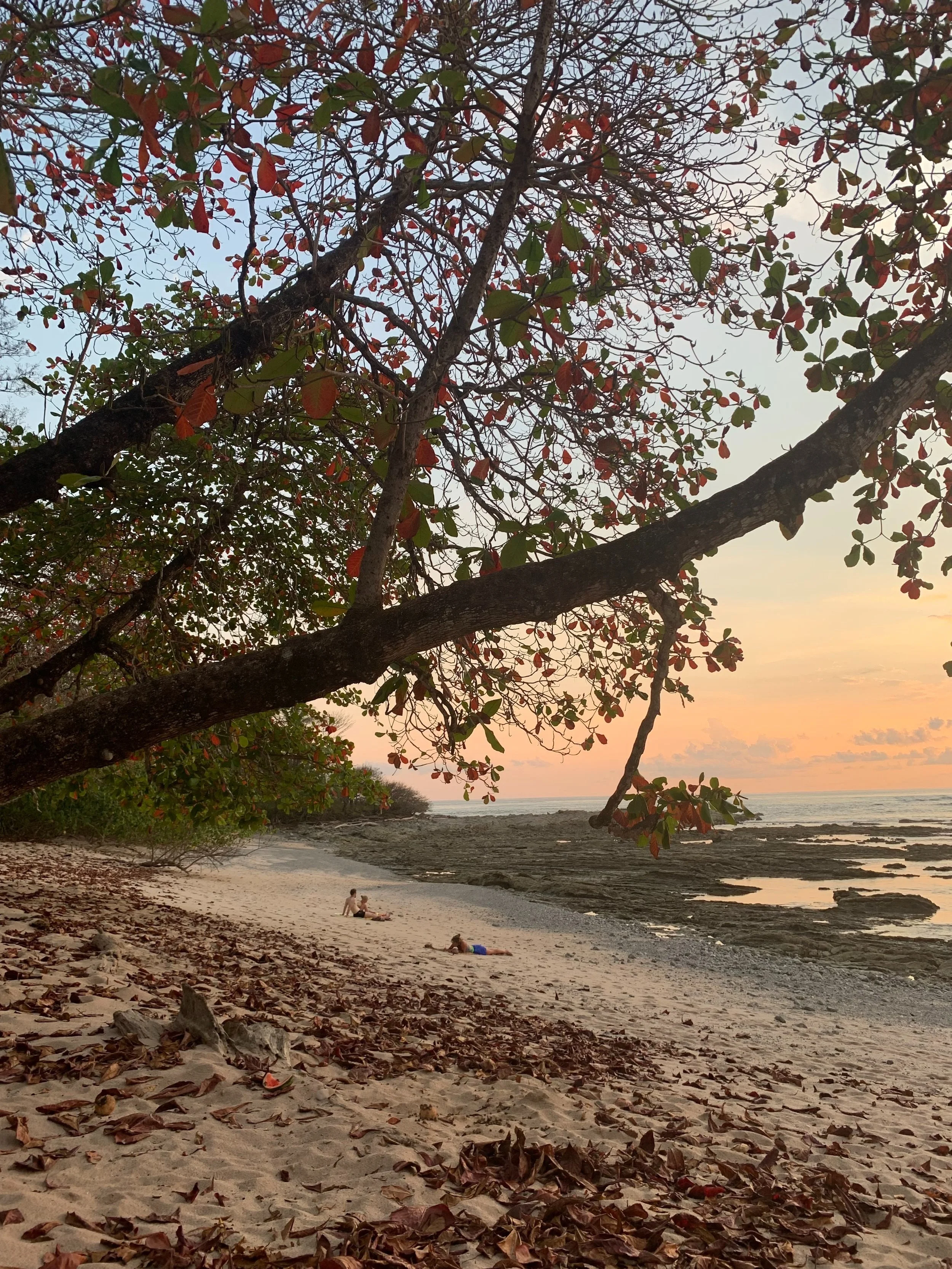 Overcoming Post-Travel Depression: Getting Out Of A Rut After Vacation