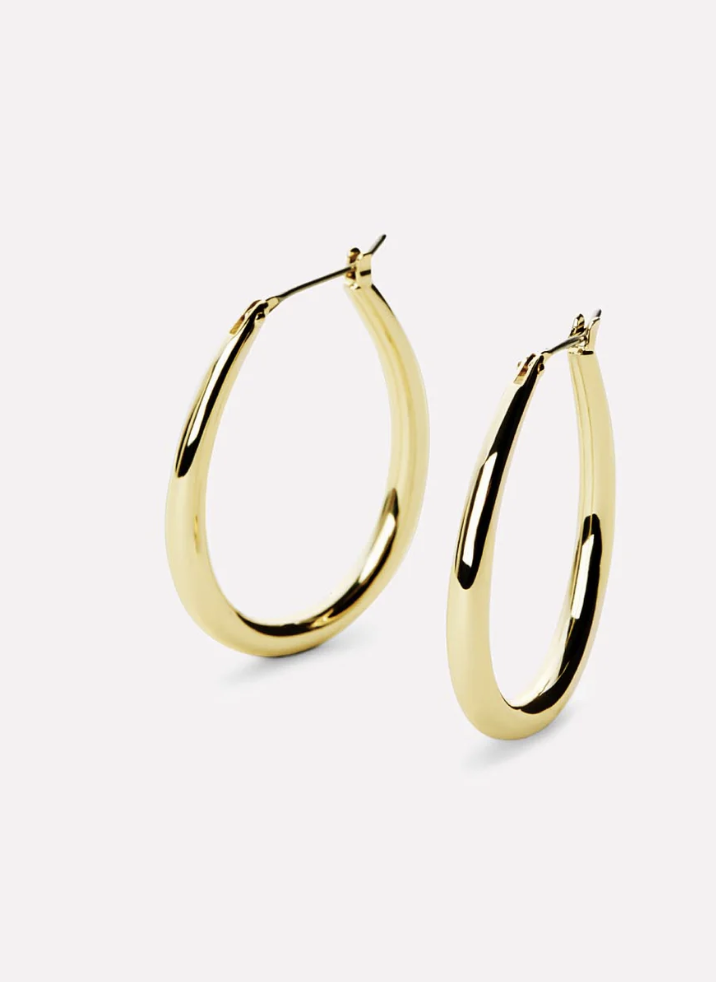 Gold Hoop earrings 