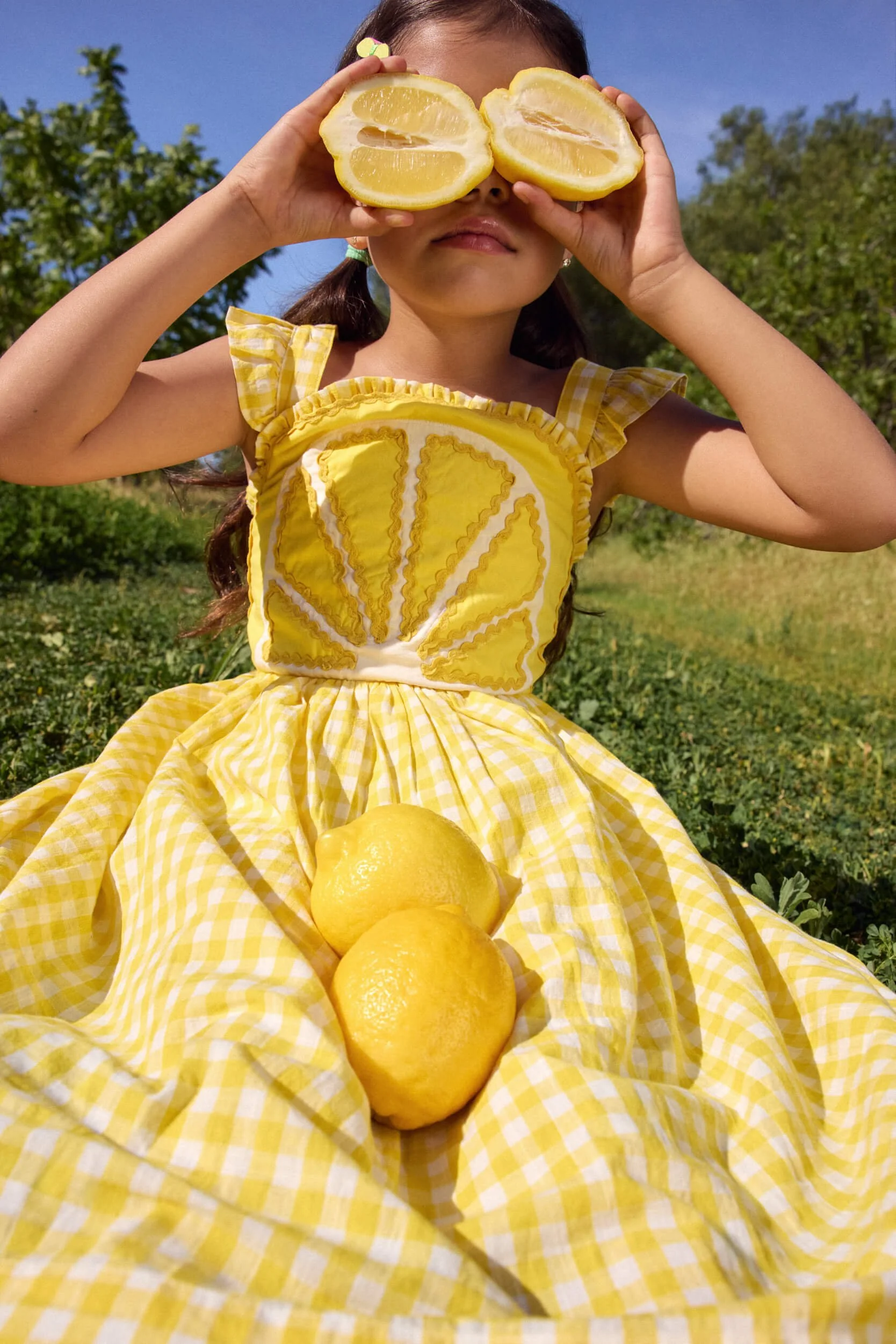 slice of summer • Lemon MAg