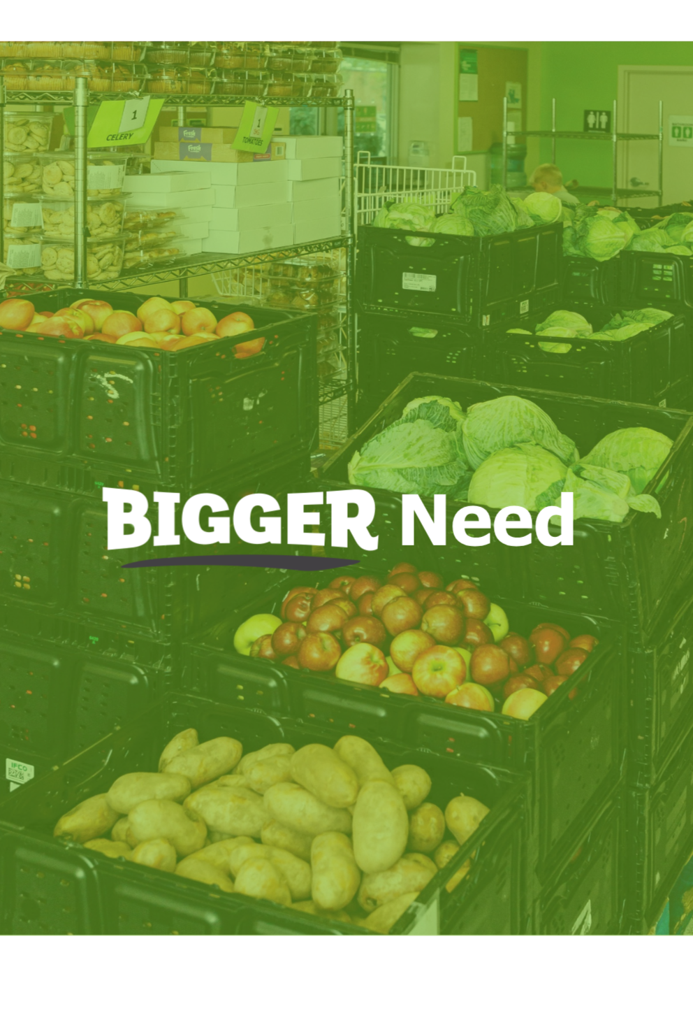 Bigger Need Title Slide.png