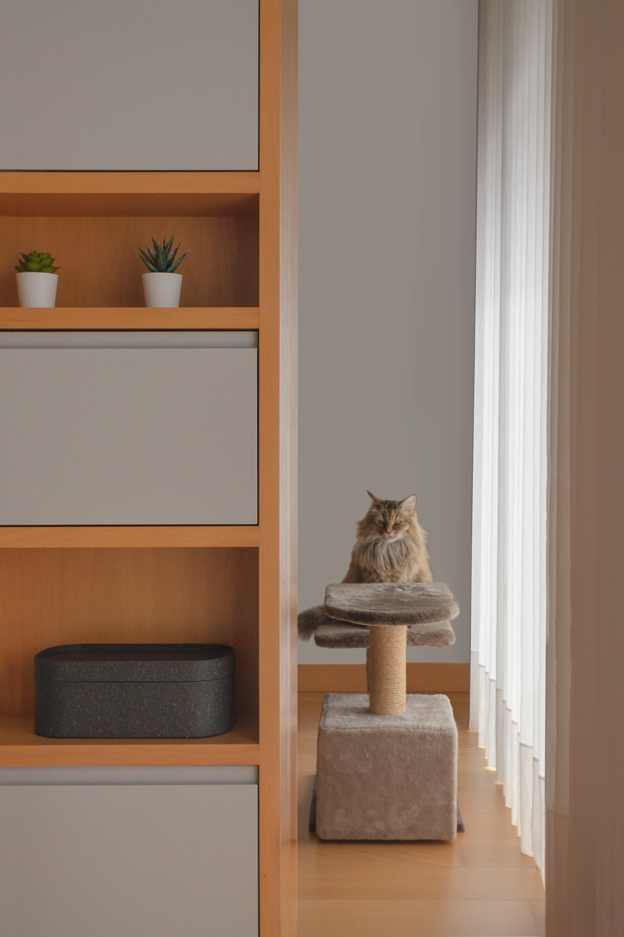 mimi studio apartment