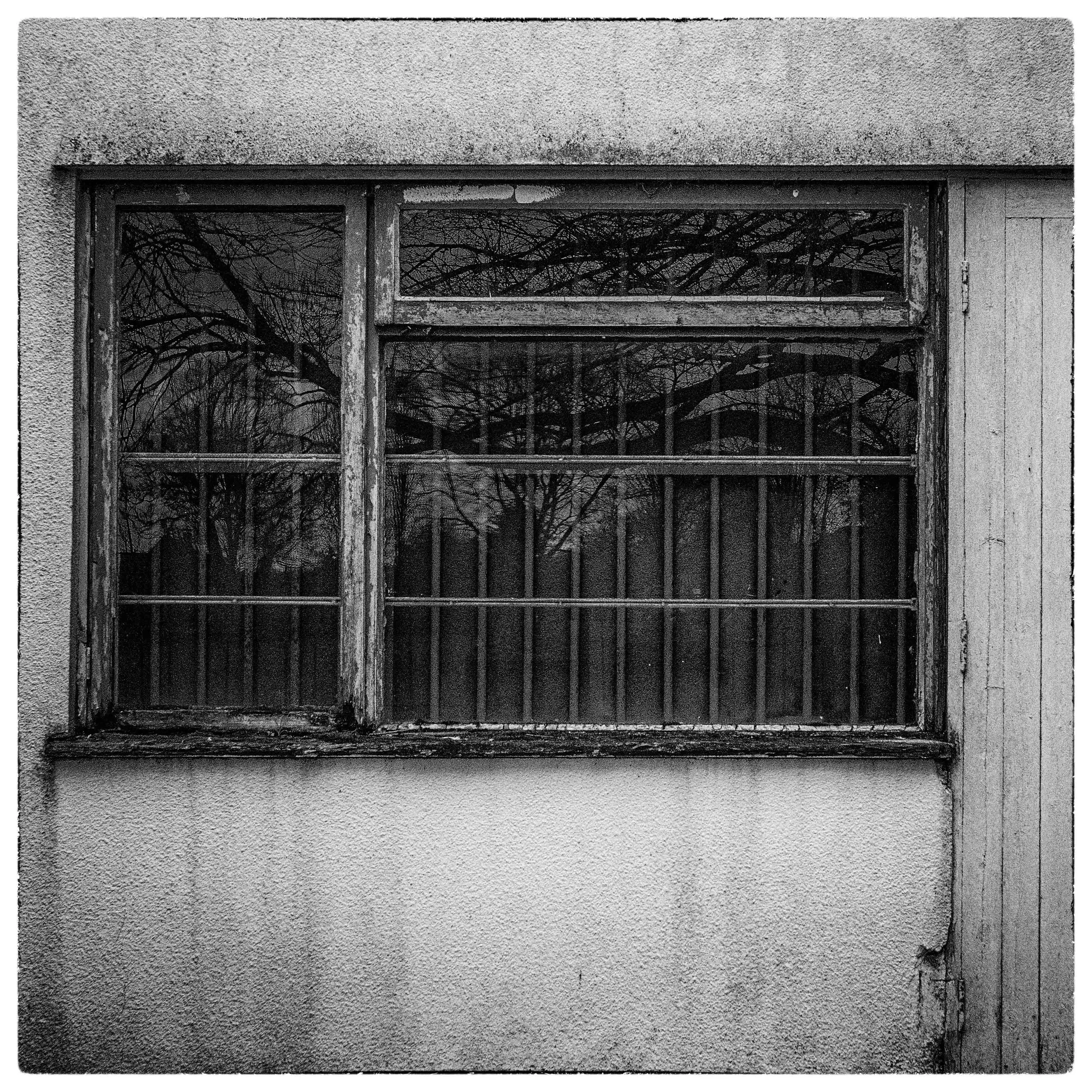 Walking in Wells-6.jpg