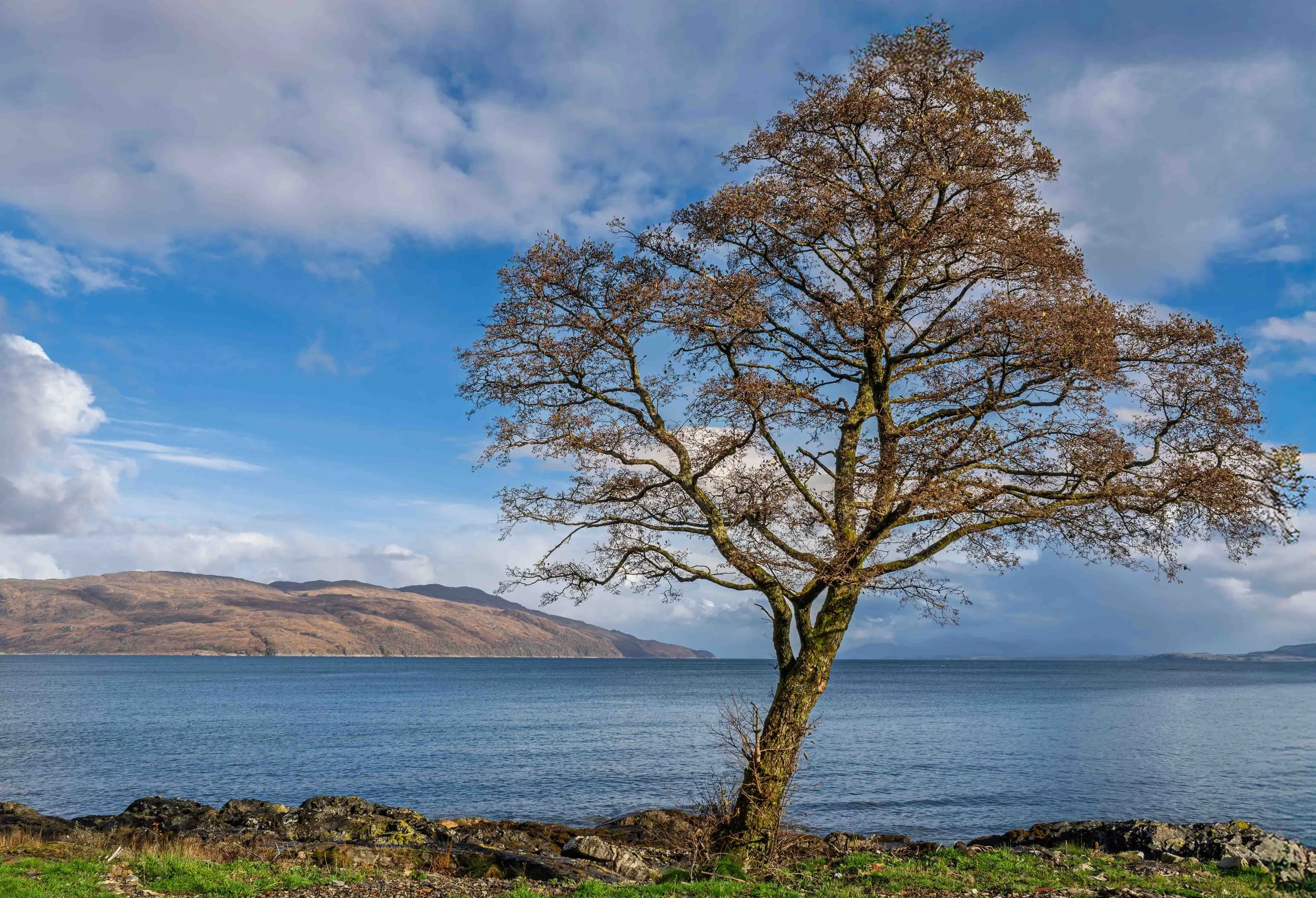 Iona and Mull-23.jpg